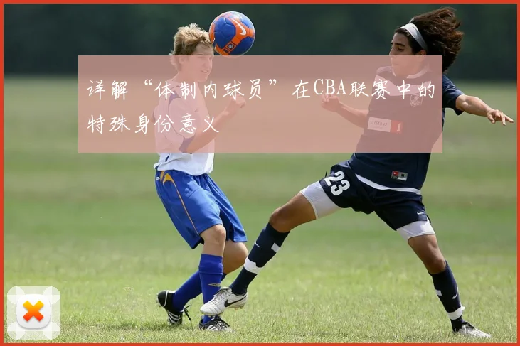 详解“体制内球员”在CBA联赛中的特殊身份意义