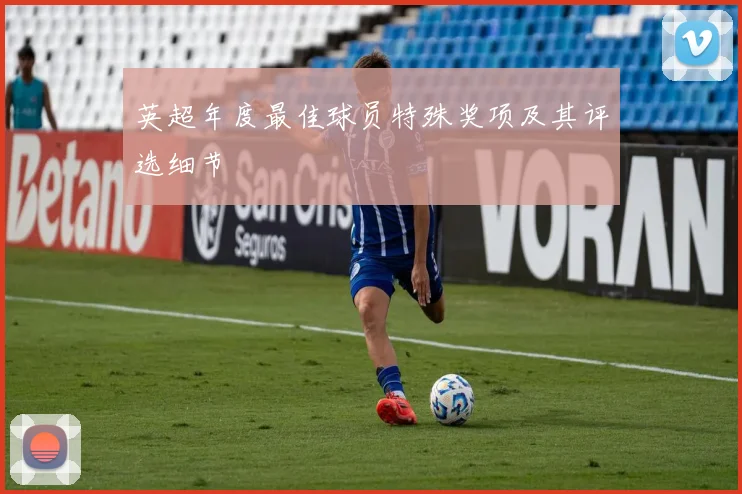 英超年度最佳球员特殊奖项及其评选细节
