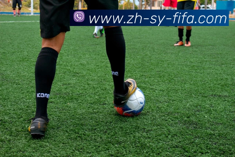 世界杯赛程发展历程